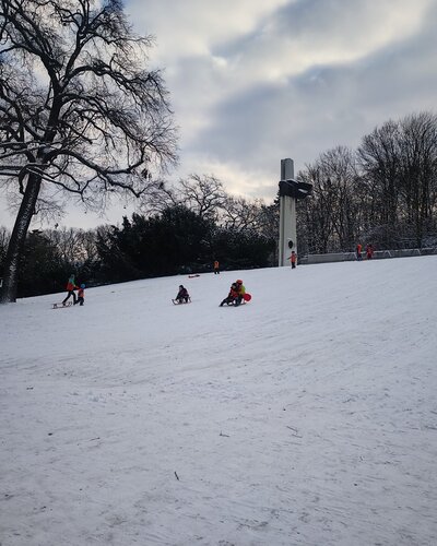 Abenteuer im Schnee  

Die Kinder unserer Kita Bunte Burg waren in Prenzlauer Berg unterwegs und hatten beim...