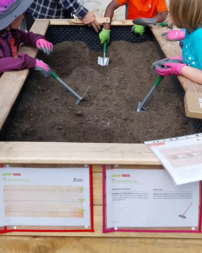  Mit Begeisterung im Schulgarten

An der Sabine-Ball-Grundschule wird fleißig gegärtnert. Unter Anleitung pflanzen,...